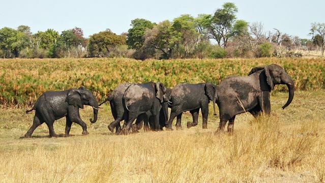 Zambezi Region